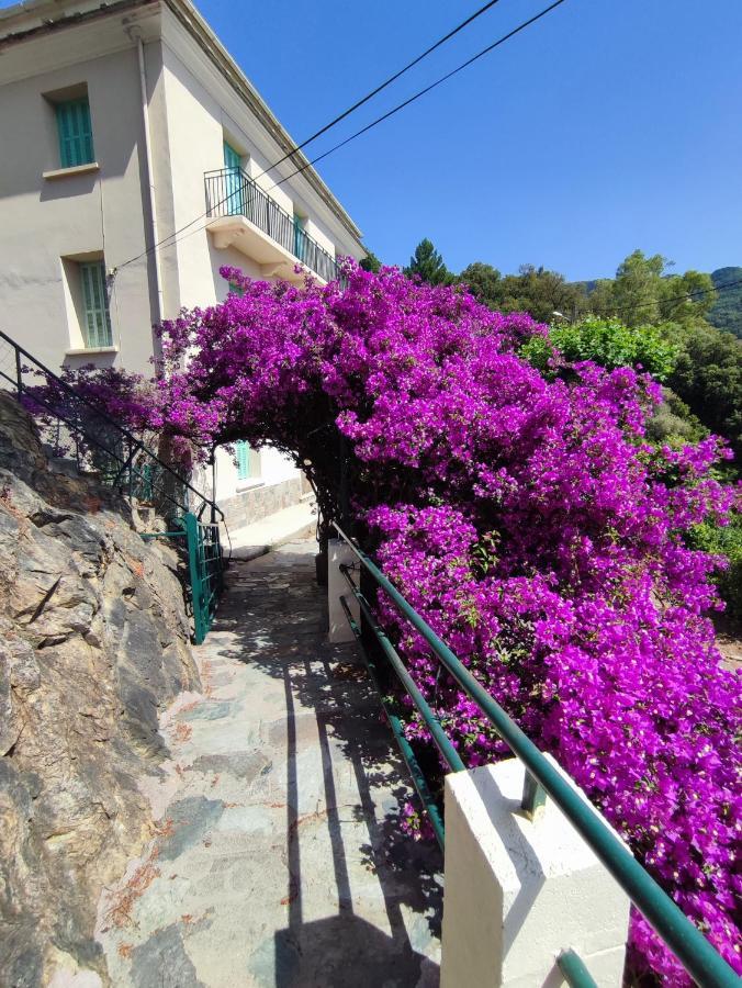 La Vallicella Farinole Exterior photo